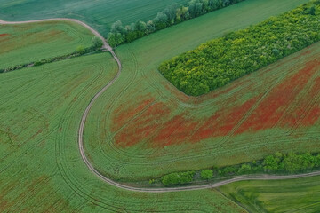 Breathtaking beautiful aerial view of poppy flowers in rapeseed and wheat field. Aerial view of the drone from above. Abstract landscape with field and winding road.