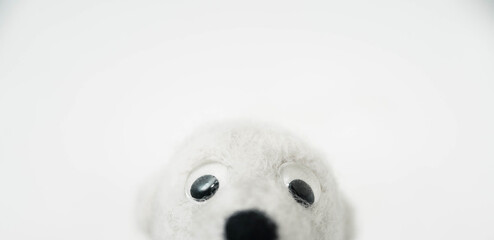 toy polar bear made of felted wool looking out of the bottom of the frame on white background