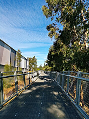 Fototapeta na wymiar Beautiful walking and cycling trail near Rydalmere, New South Wales, Australia