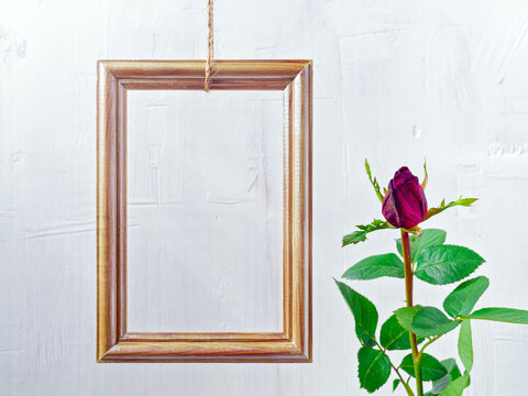 Flower composition. A rose of tiger color and a wooden golden photo frame are on a white jagged background. Layout for congratulations, social media background. Copy space.