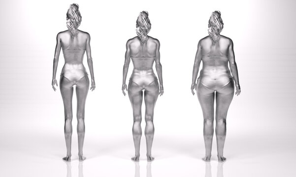 3D Rendering : standing female body type illustration : ectomorph (skinny type), mesomorph (muscular type), endomorph(heavy weight type)