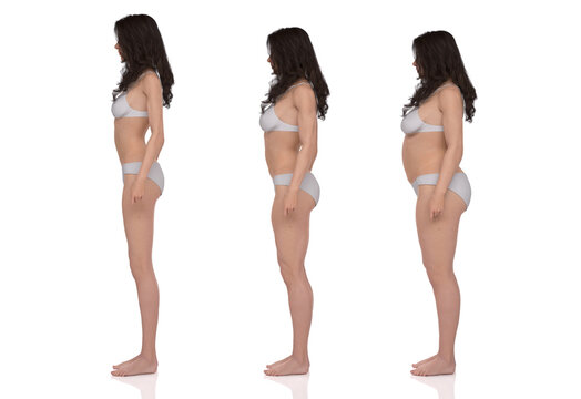3D Rendering : standing female body type illustration : ectomorph (skinny type), mesomorph (muscular type), endomorph(heavy weight type)