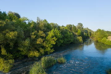 Fototapeta na wymiar River and trees evening landscape of nature aerial view in summer