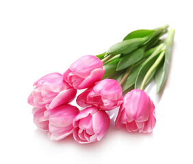 Pink tulips isolated on white background.