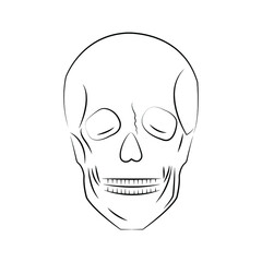 skull skeleton  tattoo icon line art vector