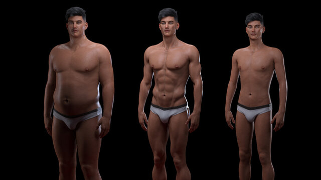3D Rendering : standing male body type illustration : ectomorph (skinny type), mesomorph (muscular type), endomorph (heavy weight type),Front View