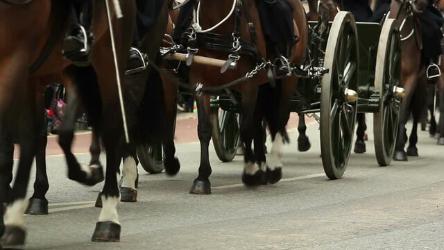 Horses and Carriages riding on the road during a parade. Stock Video Clip Footage