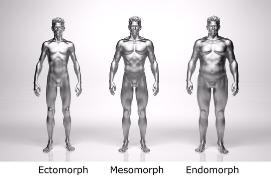Illustration of a female human body type: endomorph Stock Photo - Alamy