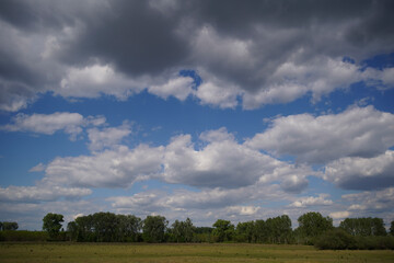 Empty meadow pasture for cows, cattle, lambs. On a cloudy but sunny summer day. Tápióbicske - Hungary