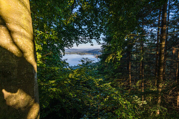 Fototapeta premium Premium hiking trail Seegang on Lake Constance