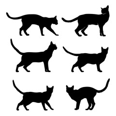 Black cats. Silhouette of a cats on a white background. Stock Vector Illustration