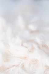 ふわふわ　ボア生地