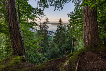 Premium hiking trail Seegang on Lake Constance