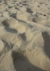 Beautiful sand ripples on the beach