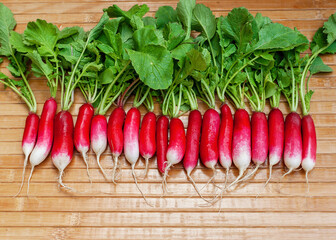 Fresh radish is beautifully laid out on a wooden table. Green leaves of radish and red root.