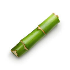 Branches of bamboo isolated
