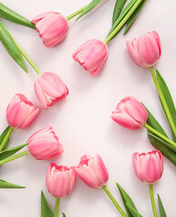 Pink tulips on white background. Top view