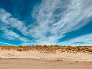 Beautiful Maasvlakte beach sand dune in the Netherlands, blue sky with clouds, nature, plants