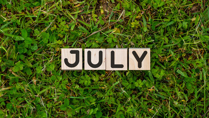 Wooden block with month July of calendar on summer grass background. Top view.