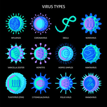 Virus types icon set in flat style