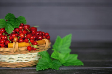 ripe red currant berries in a wicker basket close-up. background with red currant and green leaves. red currant macro.