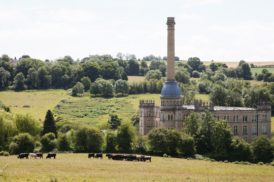 Views of cattle grazing by the Bliss Mill in Chipping Norton, Oxfordshire, UK 06 22 2020