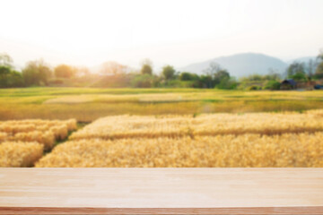 Empty wooden desk space and blurry background of farm for product display montage.
