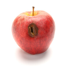 side view rotten apple on a white background