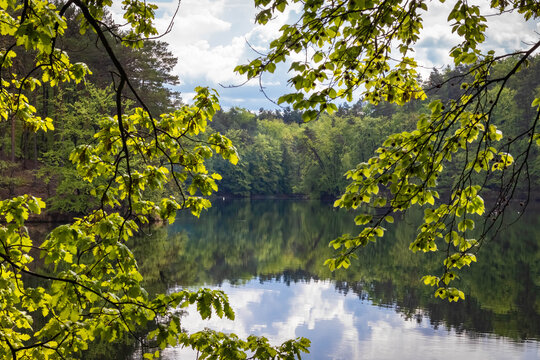 view on lake from behind branches and liefess, Lagow, western poland