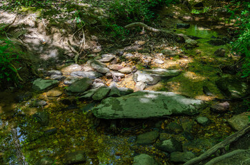 Naklejka na ściany i meble stepping stones in a stream in the forest