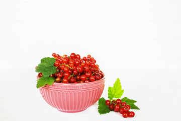 ripe currant berries in a bowl on a white background close-up. background with red currants.