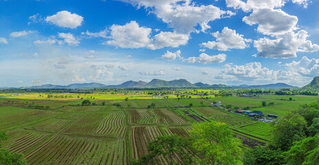 Fototapeta na wymiar Panorama Green field with mountain background, Thailand.