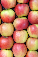 Background of fresh apples in closeup