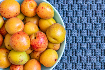apricots in a bowl with neutral background