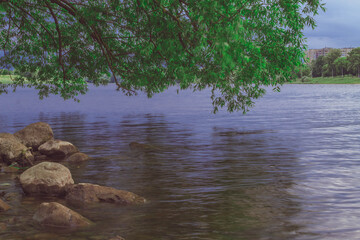 June evening before the rain. There are rocks on the shore and in the water. A tree leaned over the river