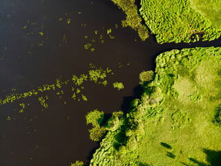 Aerial view of Castle Semple Loch in Scotland
