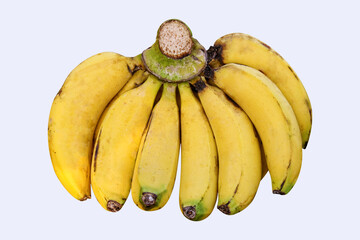 Isolated bunch of bananas on white background. Yellow banana is the best fruit of the world for...
