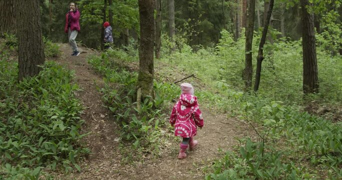 Back view of little girl walking on pines forest path