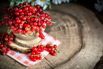 Fresh red currants in plate on dark rustic wooden table. Background with copy space. Selective focus.