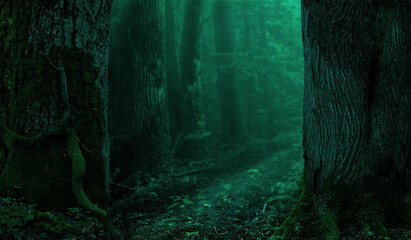 Mysterious blue forest. Night landscape, Dark misty woodland in moonlight. Road Path between old mossy trees. Mystical transparent glow in twilight. Blurry background