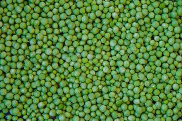 Green fresh peas. Pea surface. Top view. Selective focus.  Copy space.