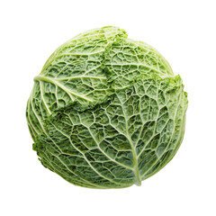 Green cabbage isolated