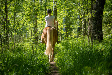 Woman horseback riding in forest