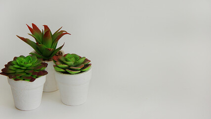 homemade flowers in a pot succulents of various types stand on wooden bars on a white background