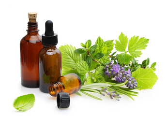 Brown Bottles of essential oil with fresh herbs