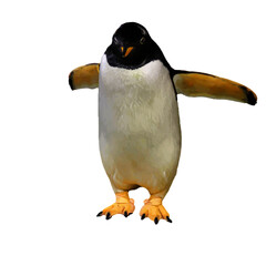 Small fairy penguin