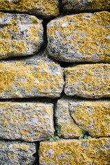 Yellow moss stone. Wall image that can be used as background and surface.