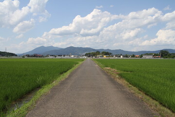 Fototapeta na wymiar Japanese Countryside with Agriculture Road and Mt. Tsukuba