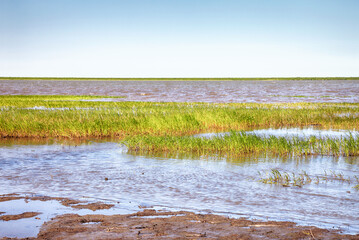 Peat banks of river Kolyma in Yakutia