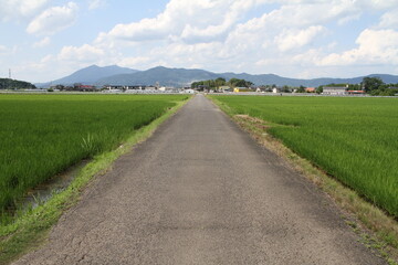 Fototapeta na wymiar Agriculture Road and Mt Tsukuba 